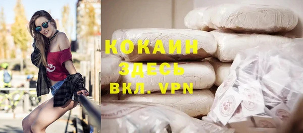 прущие грибы Арсеньев