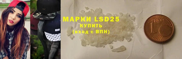прущие грибы Арсеньев