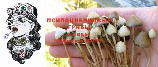 альфа пвп Армянск